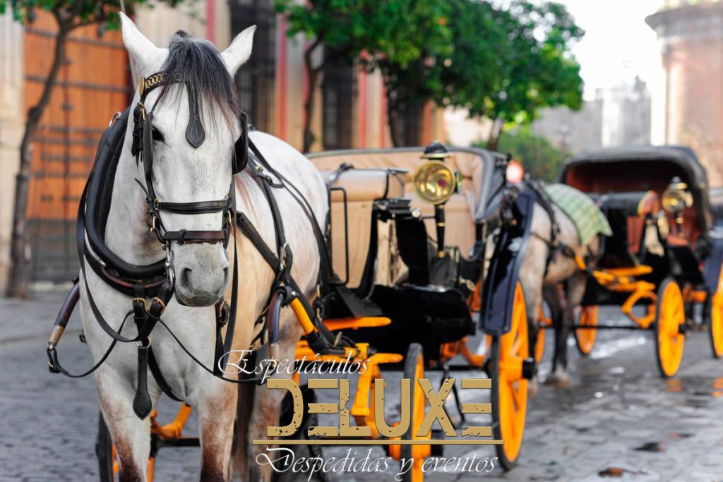 Coche de caballos para despedidas de soltera en Sevilla