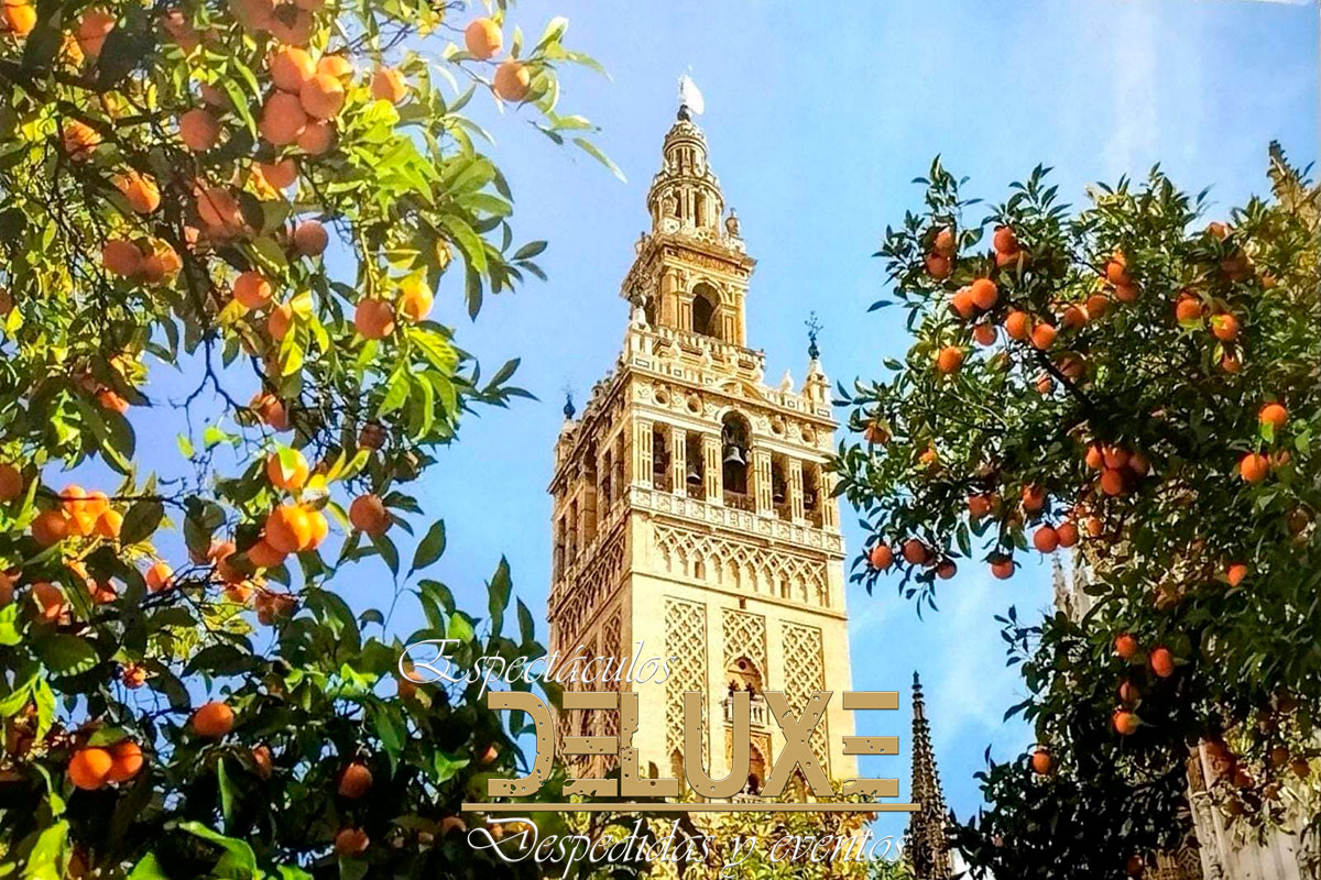 Despedidas de soltera Sevilla ➡️ Eventos Deluxe — wedding